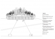 Petite-motte-Coupe