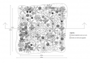 Petite-motte-Plan